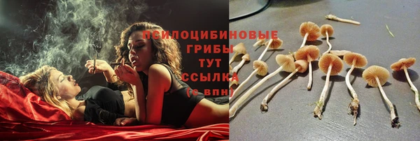 стафф Абдулино