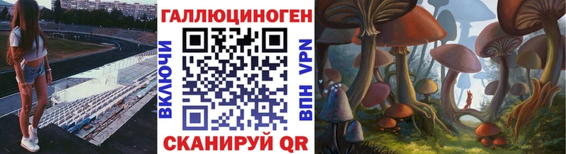 даркнет какой сайт Азов Галлюциногенные грибы Magic Shrooms цена